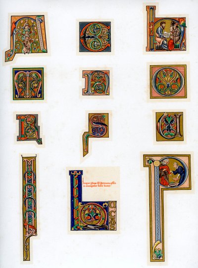 Illuminated initial letters, 13th century by Unbekannt