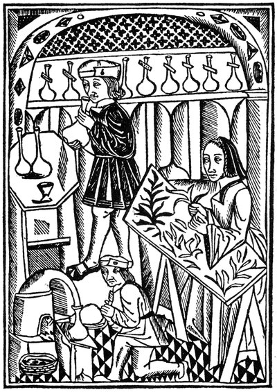 Illustration from Le Proprietaire des Choses, 1500 by Unbekannt