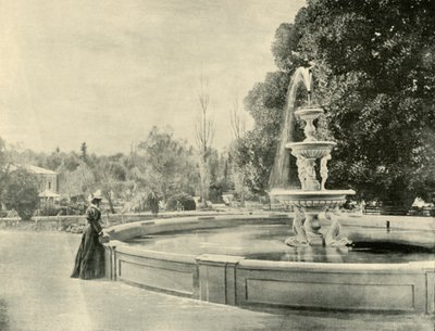 In the Botanic Gardens, Adelaide, 1901 by Unbekannt