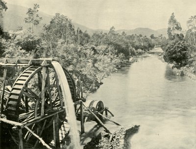 In the Ovens River, Germantown, 1901 by Unbekannt