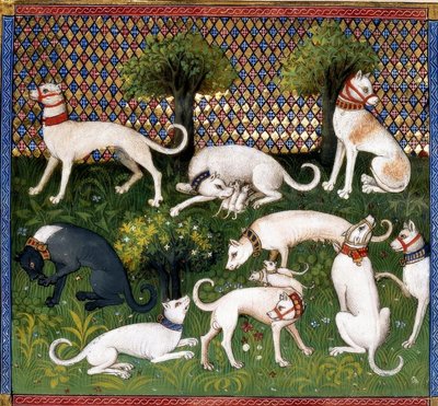 Hunting Dogs (Alan) / Book of the Hunt by Unbekannt