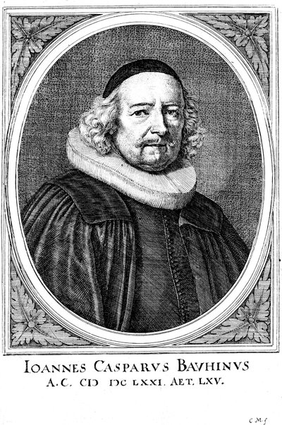 Jean Caspar Bauhin, Swiss physician and botanist by Unbekannt