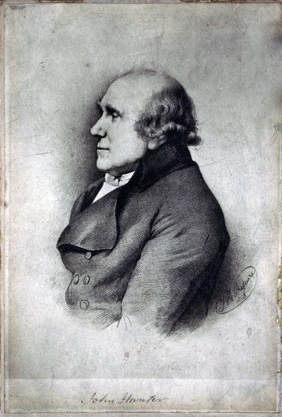 John Hunter, British surgeon and anatomist, c 1770s by Unbekannt