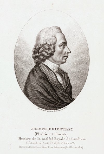 Joseph Priestley, English-American Theologian and Chemist, c. 1780 by Unbekannt