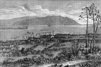 Kingston Harbour, Jamaica, c1880 by Unbekannt