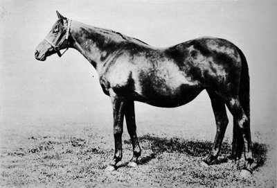 La Fleche, 1911 by Unbekannt