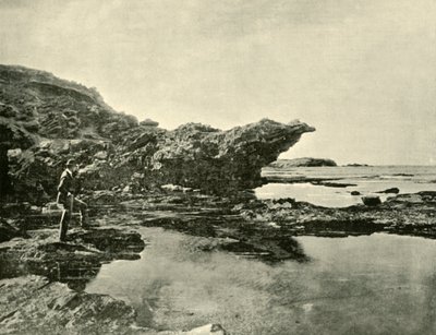 Low Tide, Shelly Beach, Warrnambool, 1901 by Unbekannt