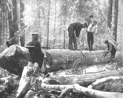Lumbering on the Ottawa River, Canada, c1900 by Unbekannt