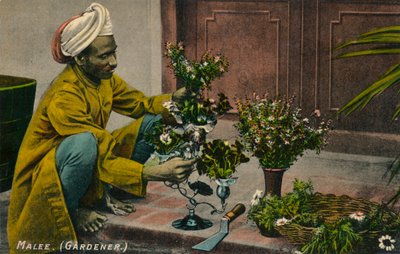 Malee Gardener by Unbekannt