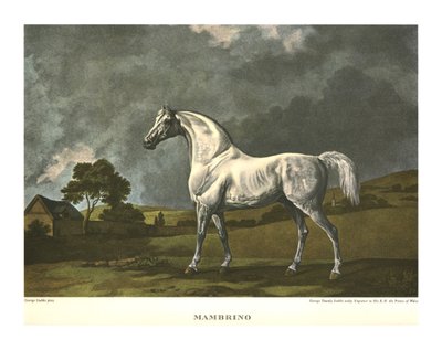 Mambrino, c1779, c1955 by Unbekannt