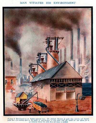 Man Vitiates his Environment, early 20th century by Unbekannt