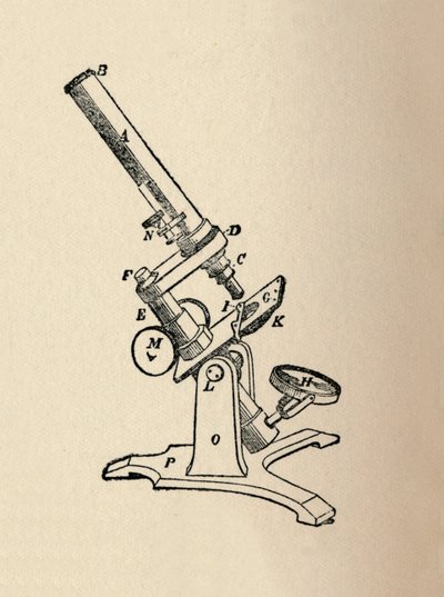 Microscope by Unbekannt