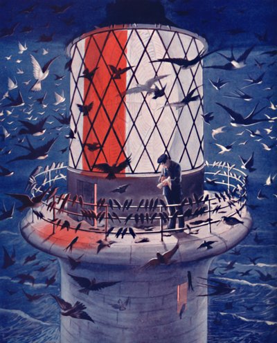Migrant Birds Visit the Lighthouse by Unbekannt