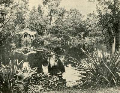 Mr. Ryans Gardens, Mount Macedon, Victoria by Unbekannt