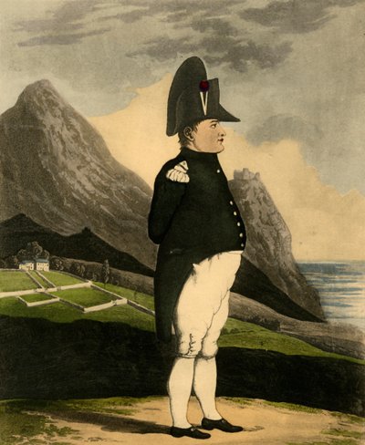 Napoleon Bonaparte by Unbekannt