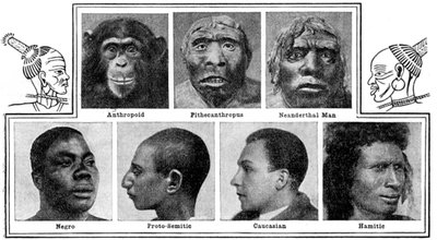 Natures evolutionary designs in noses by Unbekannt