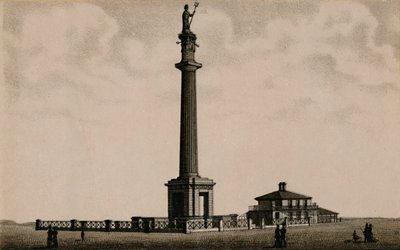 Nelson