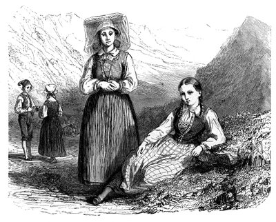 Norwegians of the Lovardalsskard by Unbekannt