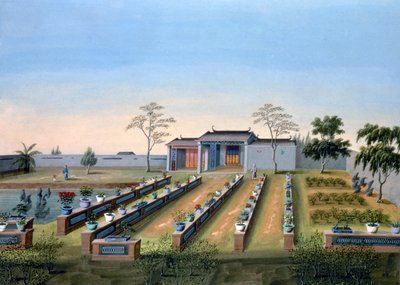 Nursery Garden, China by Unbekannt