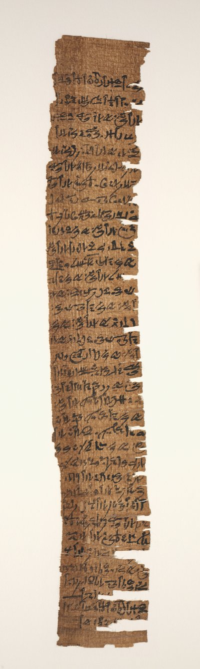 Oracular Amuletic Decree, 1069-715 BC by Unbekannt