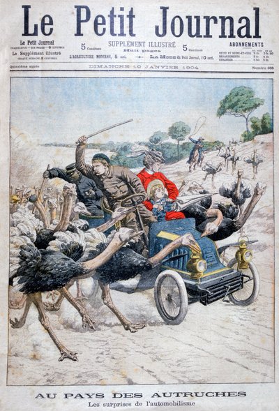 Ostriches attacking a car, California, USA, 1904 by Unbekannt