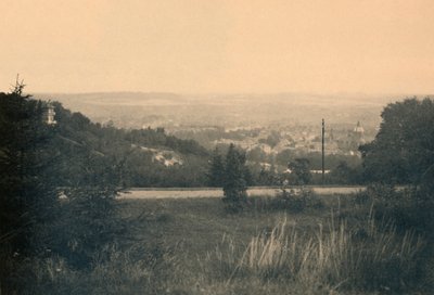 Panorama from the Forest Chalet, c1900 by Unbekannt