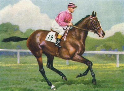 Pasch, Jockey: G. Richards by Unbekannt