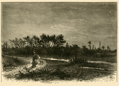 Peakirk, from the Cut by Unbekannt