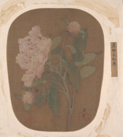 Peony Flower and Leaves by Unbekannt