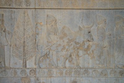 Persepolis, Iran by Unbekannt
