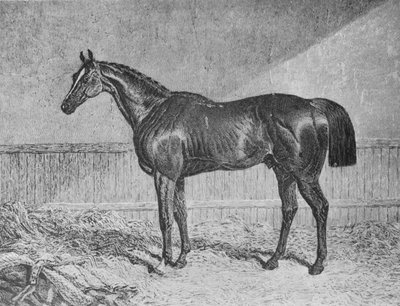 Plenipotentiary, 1831-1854, 1911 by Unbekannt