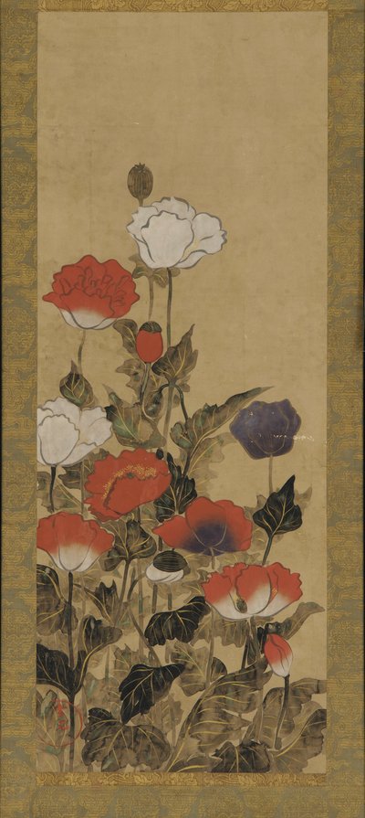 Poppies by Unbekannt