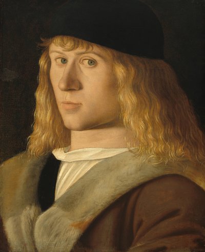 Portrait of a Young Man by Unbekannt