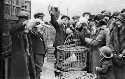 Poultry Merchants, Caledonian Market, London, 1926-1927 by Unbekannt