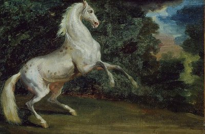Prancing Horse by Unbekannt