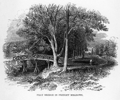 Pray Bridge in Fridley Meadows, Surrey, 19th Century by Unbekannt