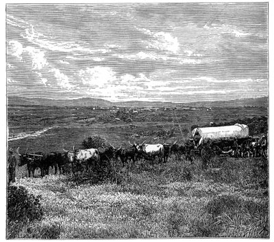 Pretoria, South Africa by Unbekannt