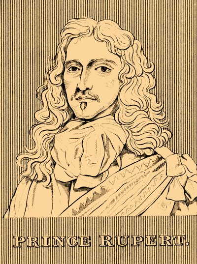 Prince Rupert by Unbekannt