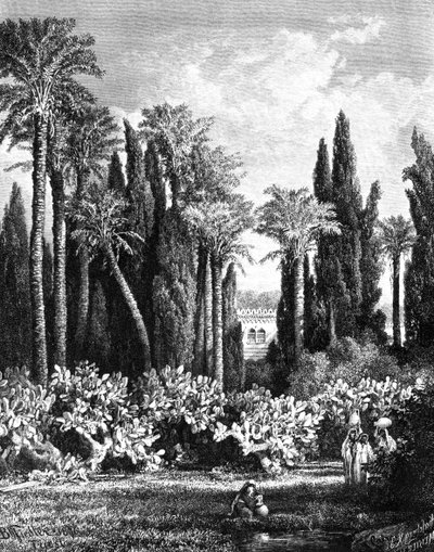 Princely Garden in Cairo, Egypt, 1880 by Unbekannt