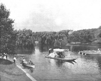 Public Garden and Lake, Boston, USA, c1900 by Unbekannt