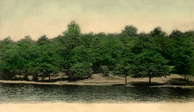 Queensmere, Wimbledon Common, London, 1903 by Unbekannt