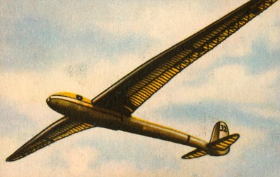 RRG Fafnir glider by Unbekannt
