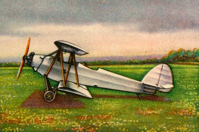 Raab-Katzenstein RK.9 Grasümcke Plane by Unbekannt