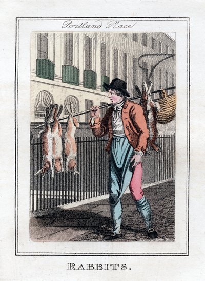 Rabbits, Portland Place, London by Unbekannt