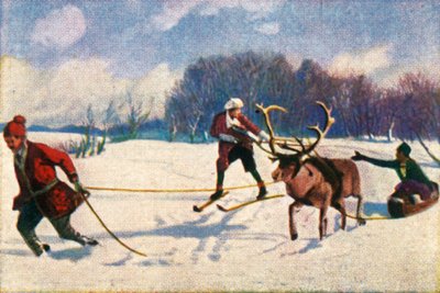 Reindeer sledge ride in Sweden by Unbekannt