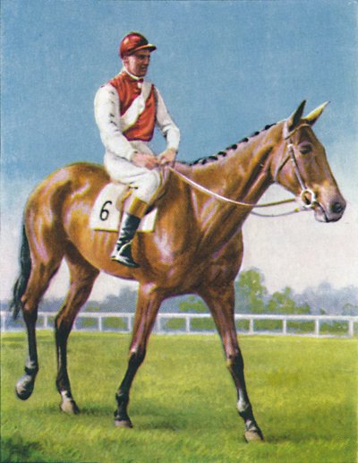 Royal Danieli, Jockey: D. Moore by Unbekannt