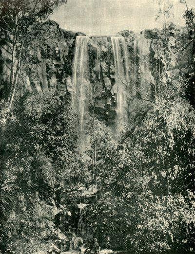 Sailors Creek Falls, Daylesford, 1901 by Unbekannt