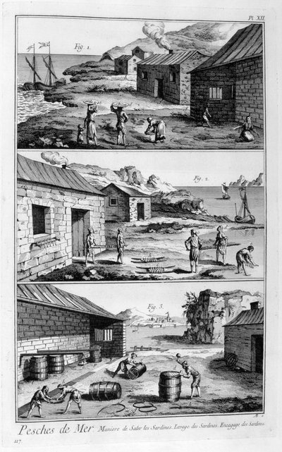 Salting, washing, packing sardines by Unbekannt