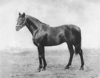 San-Toi, 1911 by Unbekannt