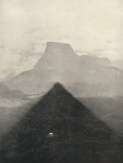 Shadow of Adam